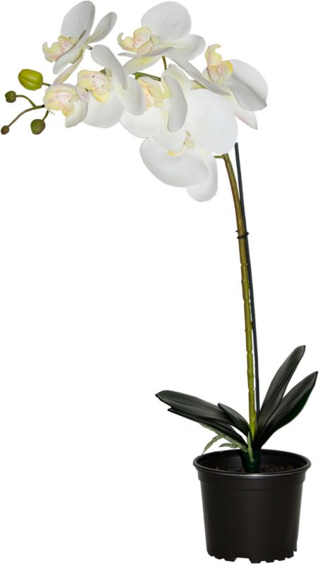 Storczyk sztuczny premium Direct Home&Garden 7 kwiatów 80 cm 1 szt.