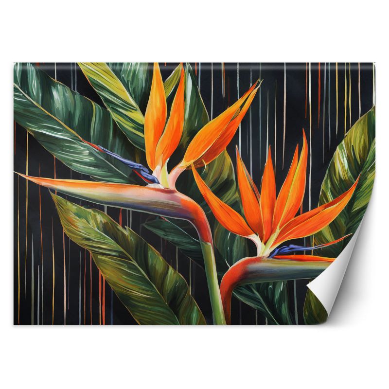 Fototapeta Feeby Liście Rośliny Botanika 300x210 1 szt