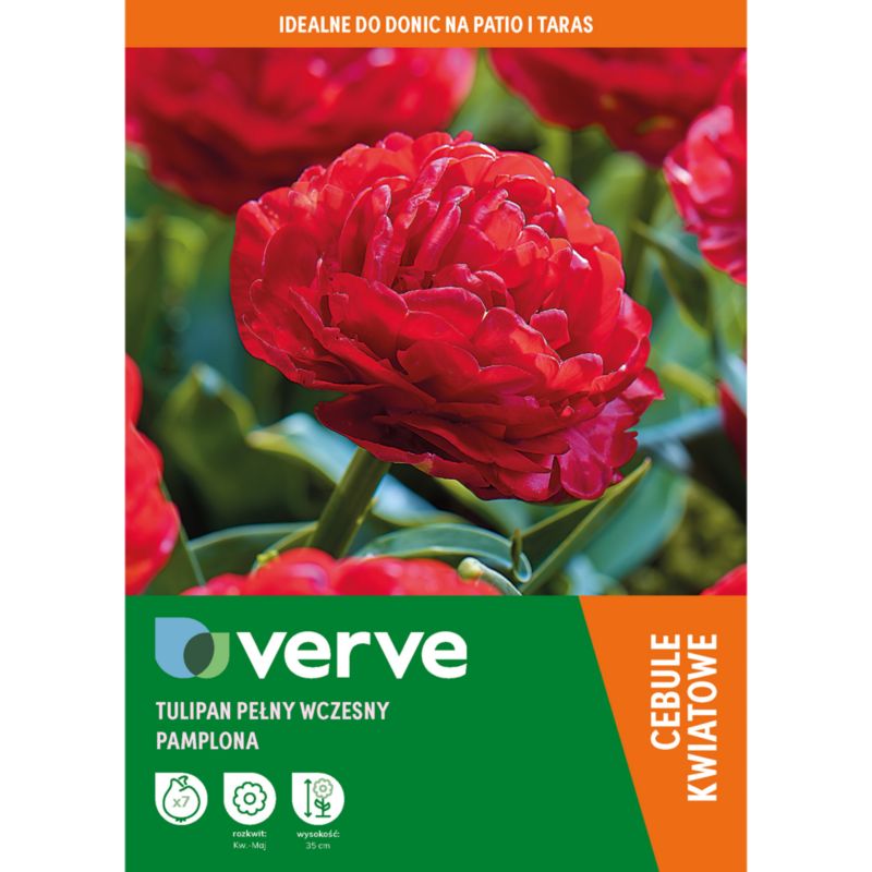 Tulipan Double Red Pamplona 7 szt.