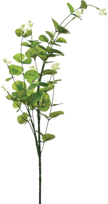 Gałązka Eukaliptusa Jumi 90 cm