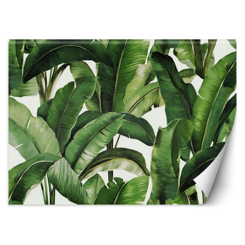 Fototapeta Feeby Zielone liście tropikalne 400x280 1 szt