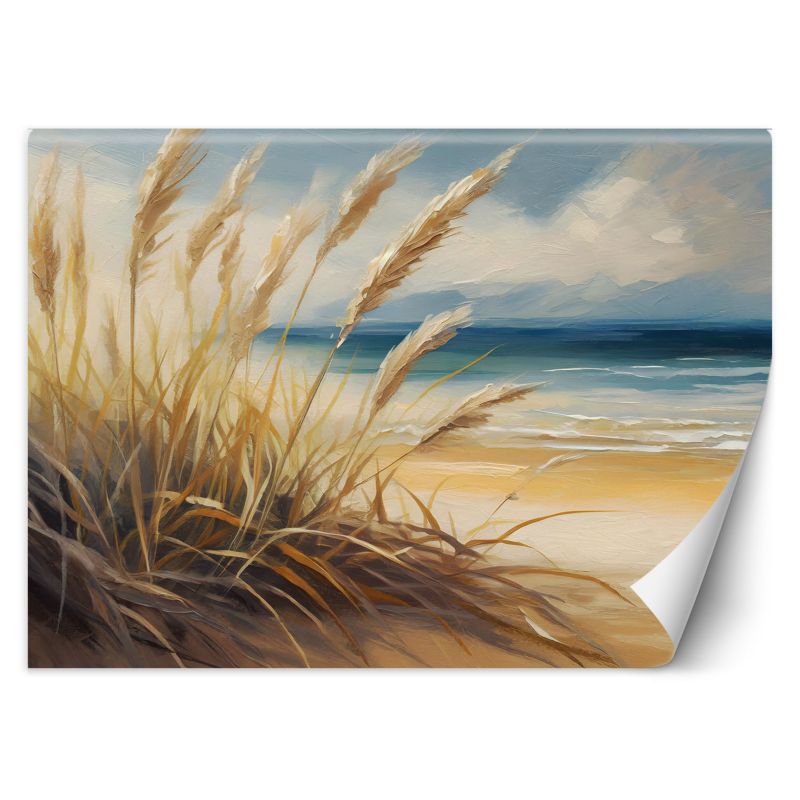 Fototapeta Feeby Plaża Krajobraz przyrodniczy 150x105 1 szt