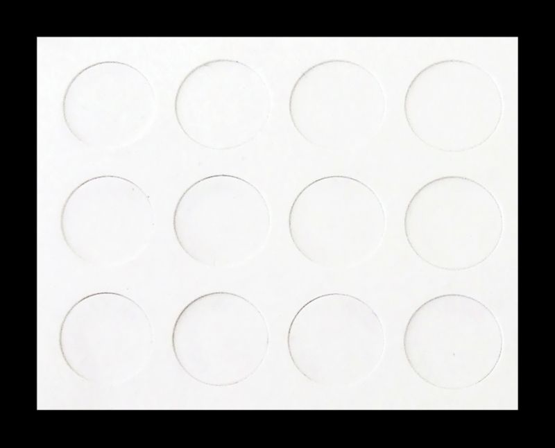 Zaślepka Diall 20 mm biała 12 szt.