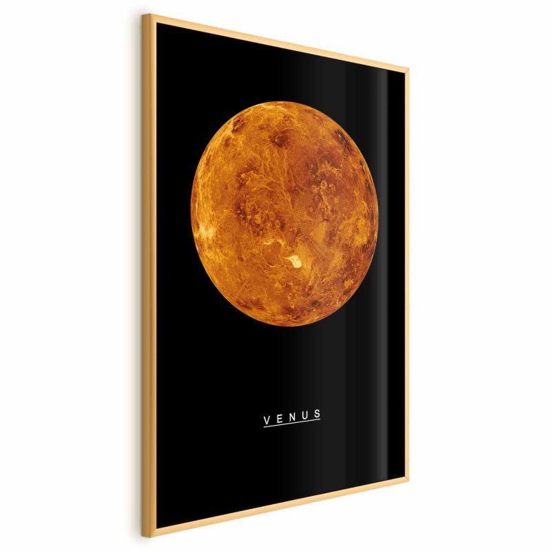 Plakat Artgeist Wenus 40x60 cm z ramą złotą bez marginesu 1 szt