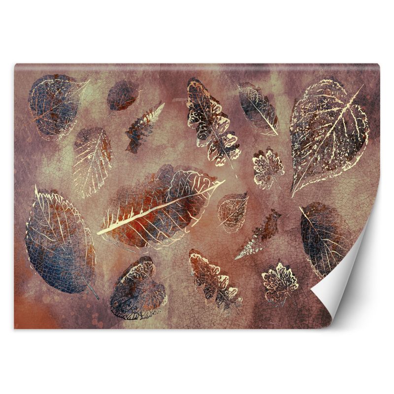 Fototapeta Feeby Liście w stylu retro 350x245 1 szt