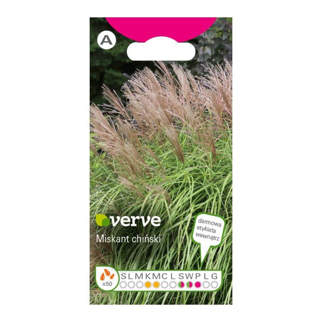 Nasiona miskant chiński Verve