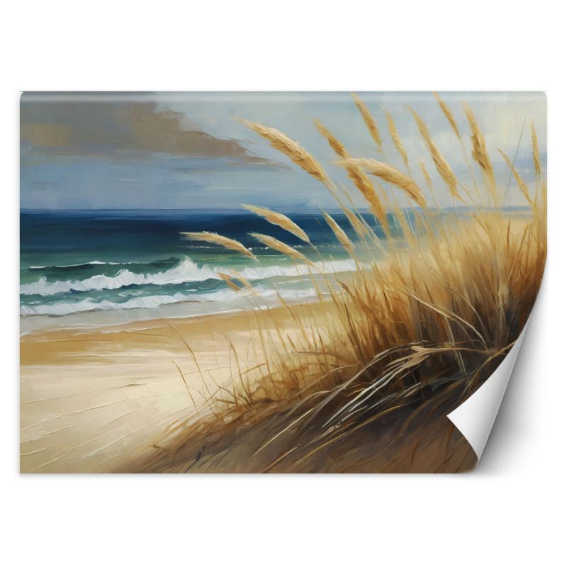 Fototapeta Feeby plaża, wydmy morskie, przyroda 450x315 1 szt