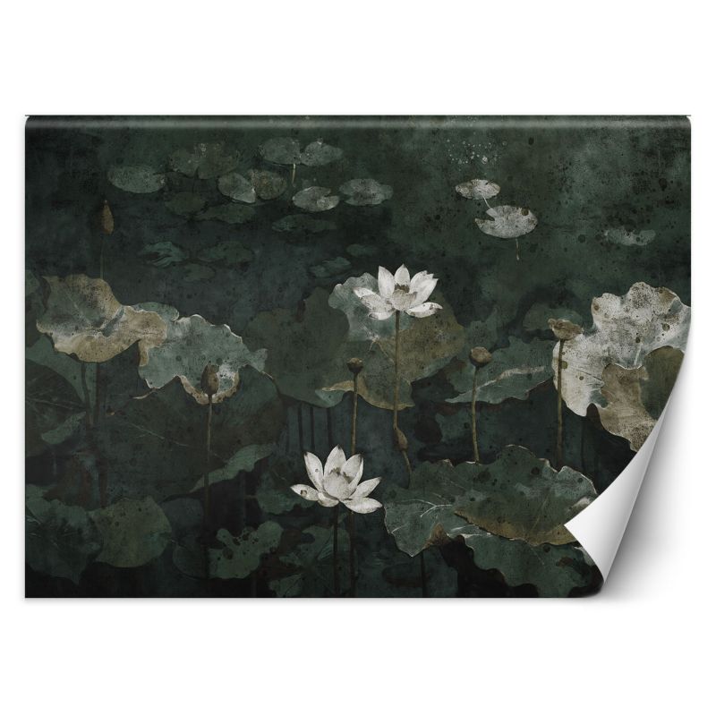 Fototapeta Feeby Lilie wodne vintage 200x140 1 szt