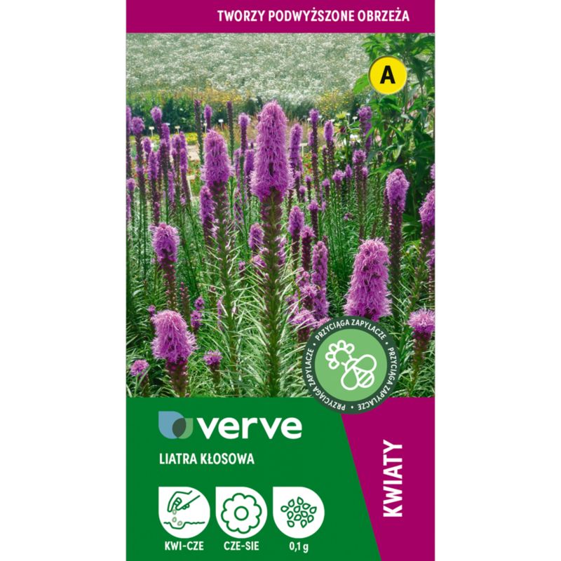Nasiona liatra blazing star rose purple Verve
