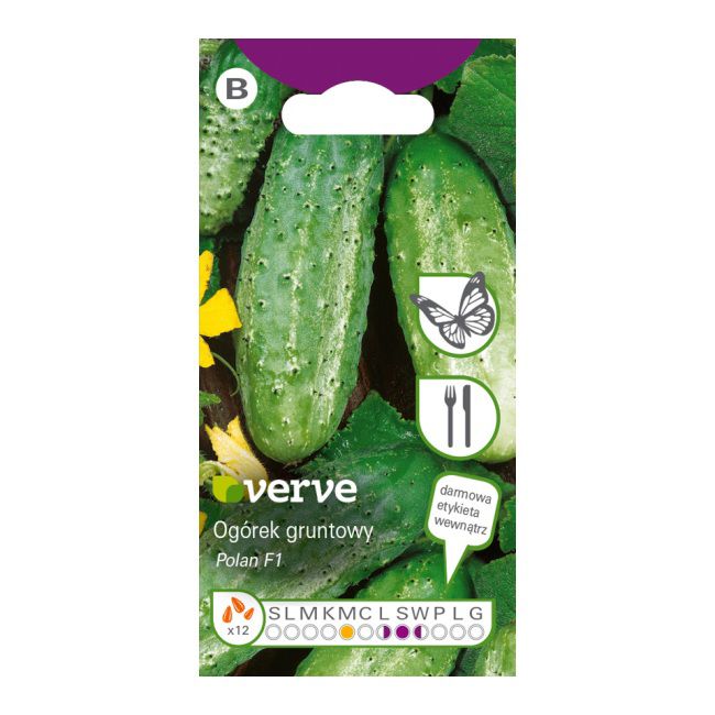 Nasiona ogórek Polan F1 Verve