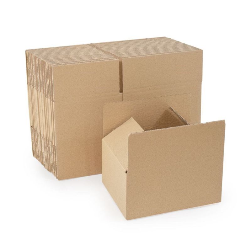 Kartony klapowe Neopak 250x200x100mm, Biznesowe XS, 50 szt.