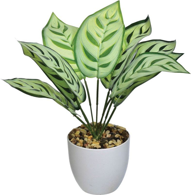 Kwiat sztuczny kaladium Jumi w doniczce jasnozielony 25 cm