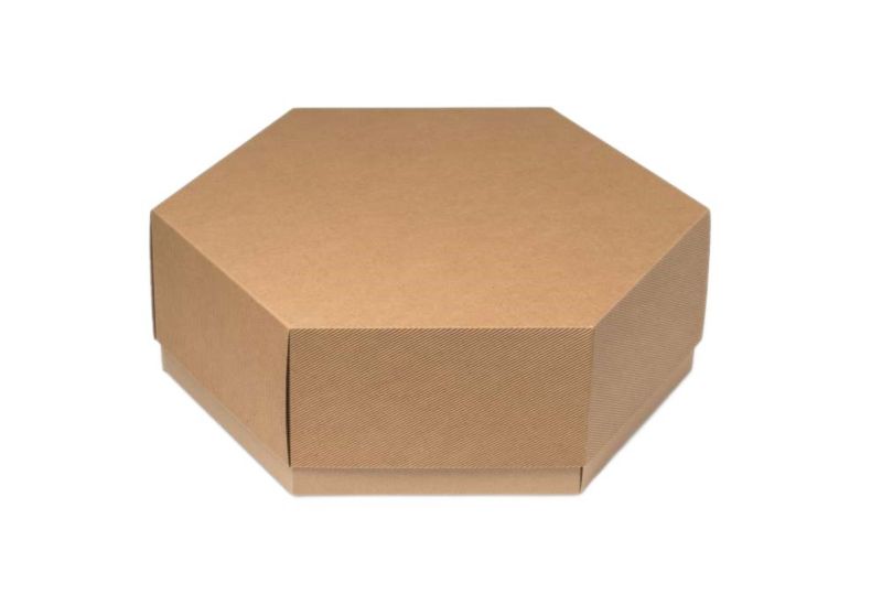 Pudełko karbowane Neopak 450x450x170mm wieczkowe 1 szt.