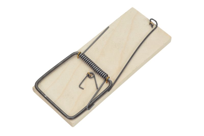 Szczurołapka drewniana FSC