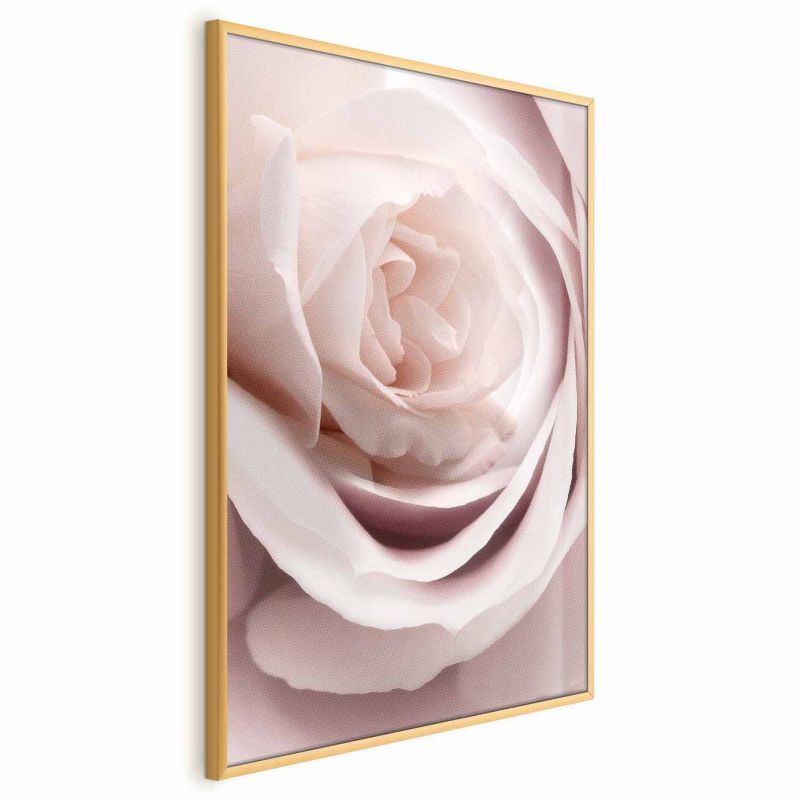 Plakat Artgeist Porcelanowa róża 21x30 cm z ramą złotą 1 szt