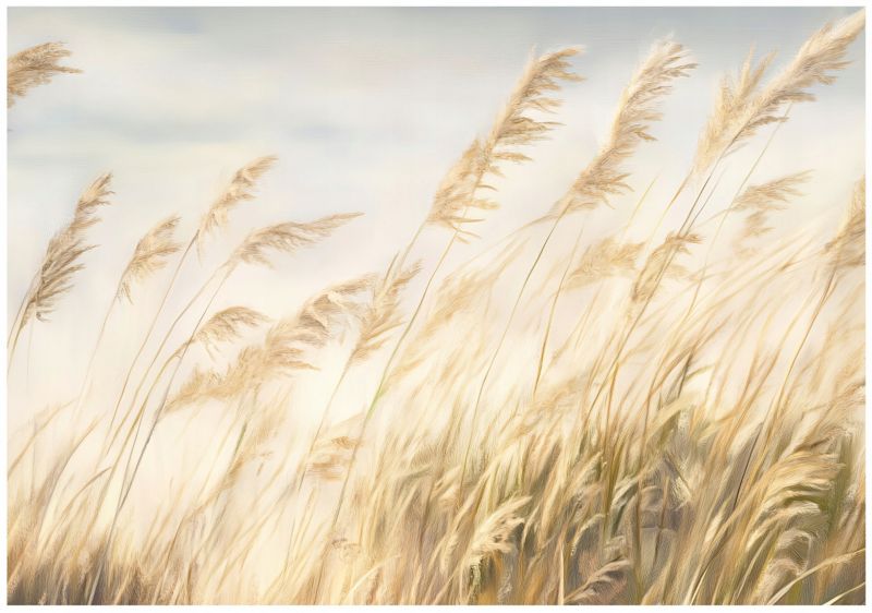 Tapeta Na Flizelinie Ścianę WALLARENA 250x175 cm Fototapeta Do Sypialni Salonu Kuchni Boho Trawa Pampasowa 1 szt.