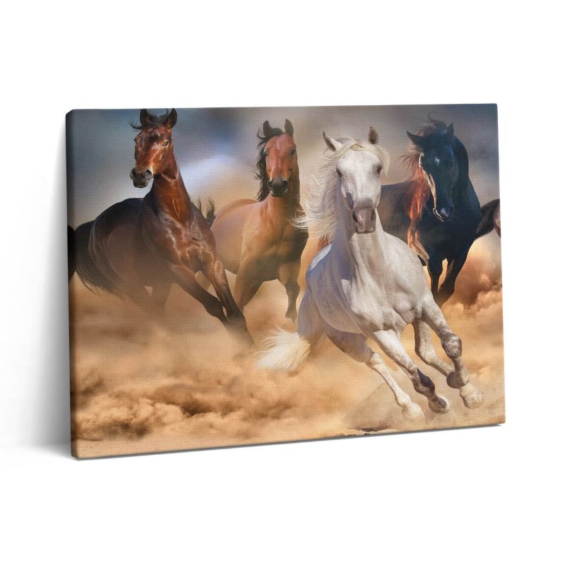 Obraz na płótnie Wallfluent 80x60 cm Pędzące konie w galopie 1 szt.