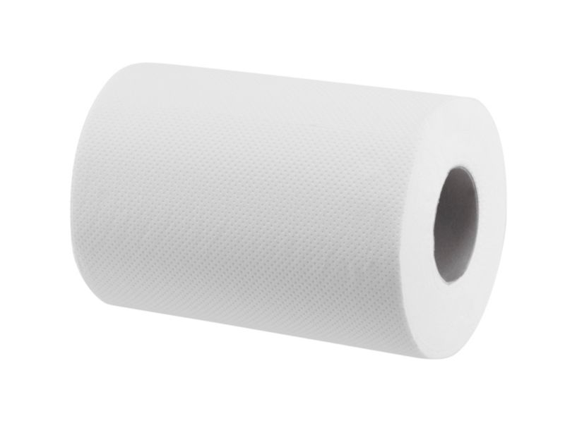 Ręcznik papierowy w roli Bisk Mini Celuloza biały 12 szt.