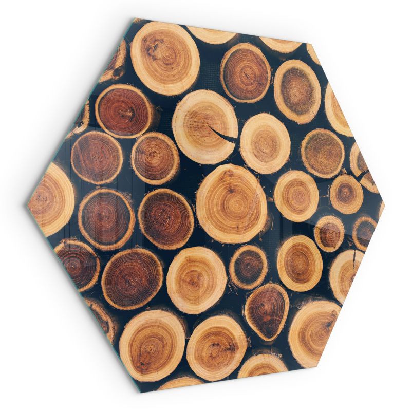 Szyba Heksagon przed Kominek Wallfluent h40 cm Ochrona Podłogi przed Żarem Skrzynka z drewnem ściętym 1 szt.