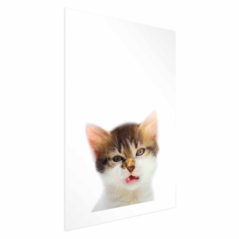 Plakat Artgeist Zirytowany kot 60x90 cm bez ramy z marginesem 1 szt