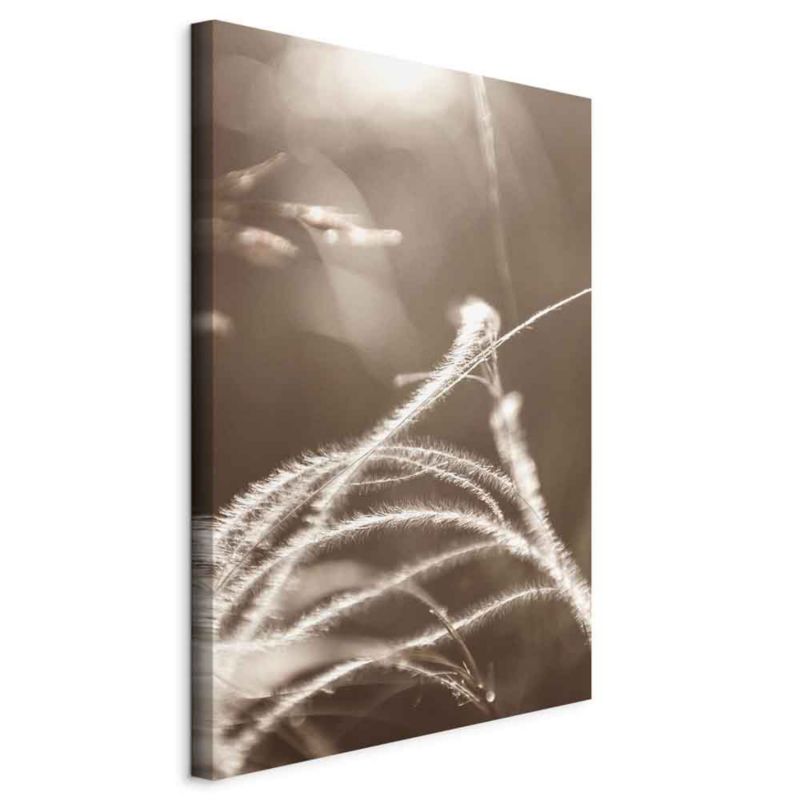 Obraz Artgeist Puszysta trawa 60 x 90 cm flizelina 1 szt