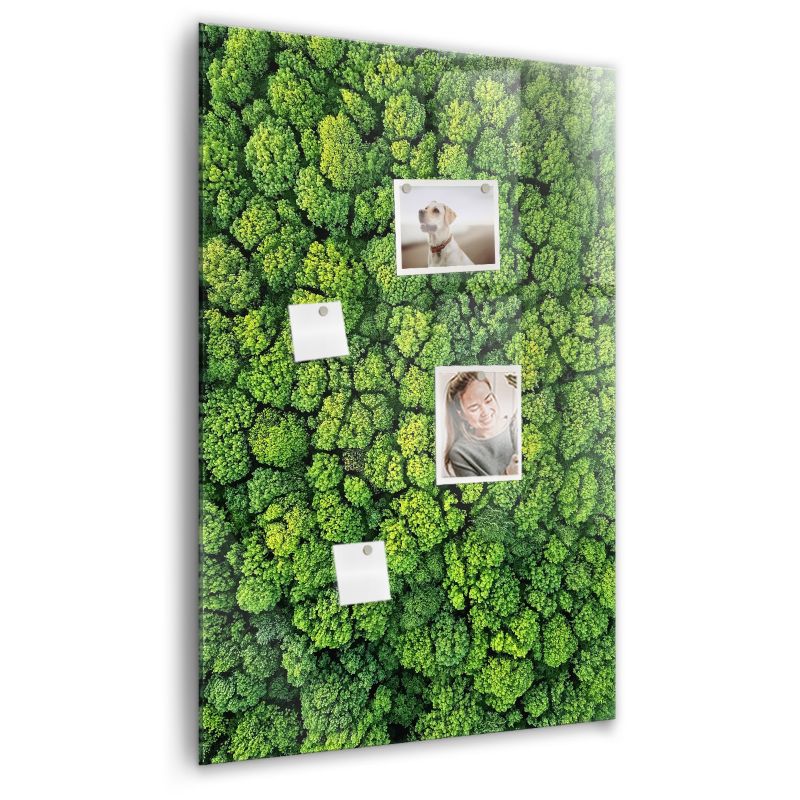 Tablica magnetyczna Wallfluent 60x90 cm Las drzewa natura 1 szt.