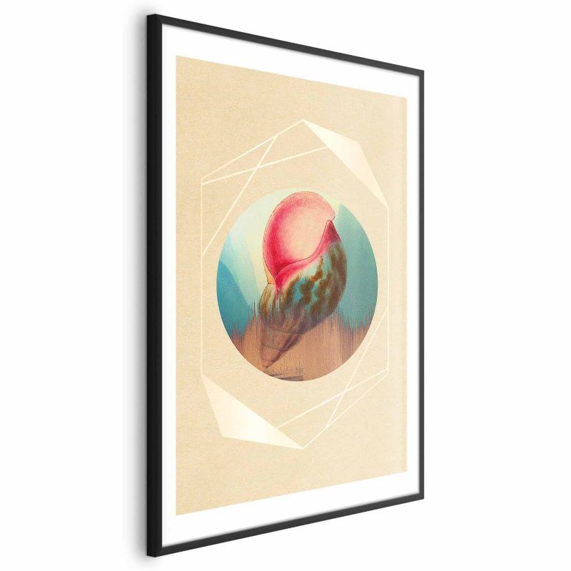 Plakat Artgeist Muszla 40x60 cm z ramą czarną 1 szt