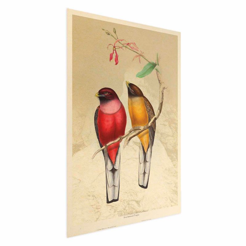 Plakat Artgeist Ptaki na gałązce 40x60 cm bez ramy 1 szt