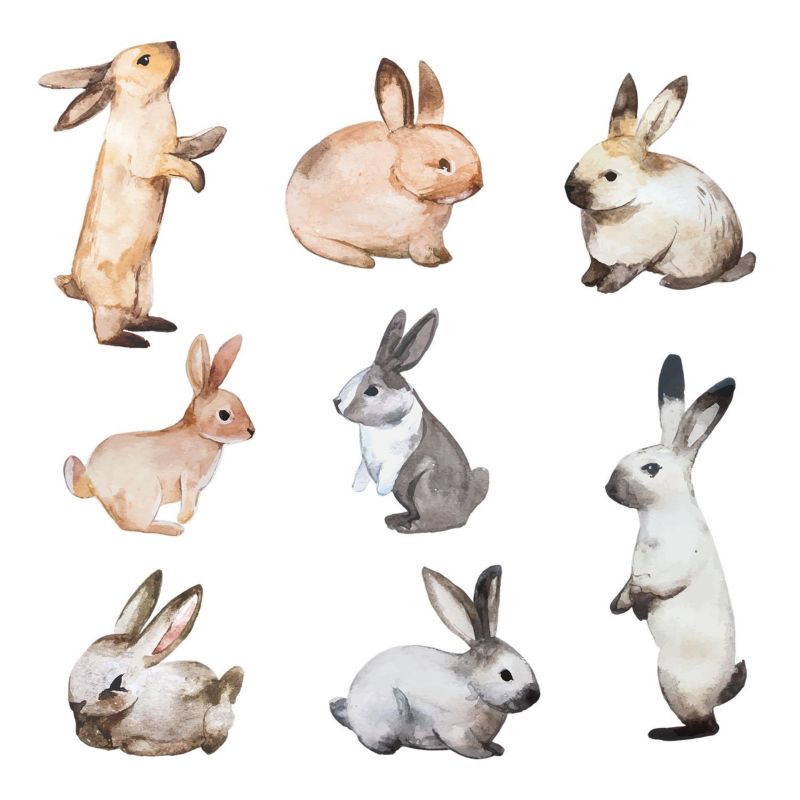 Naklejki Na Ścianę Wallfluent 181x100 cm Króliczki akwarela 1 rol.