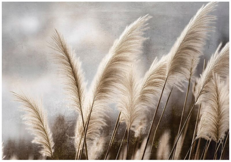 Fototapeta WALLARENA Do Sypialni Salonu Na Flizelinie Trawa Pampasowa Łąka Natura Beżowy 368x254 cm 16006V8 1 szt.