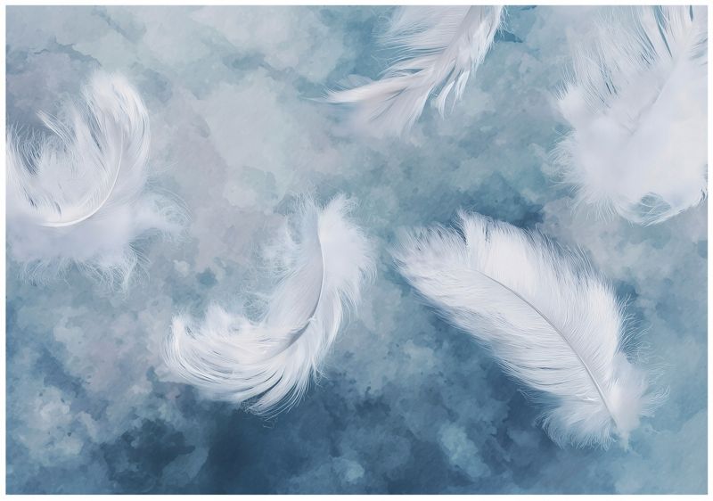 Fototapeta WALLARENA Do Sypialni Salonu Na Flizelinie Pióra Abstrakcja Beton 300x210 cm Tapeta Ścienna 1 szt.