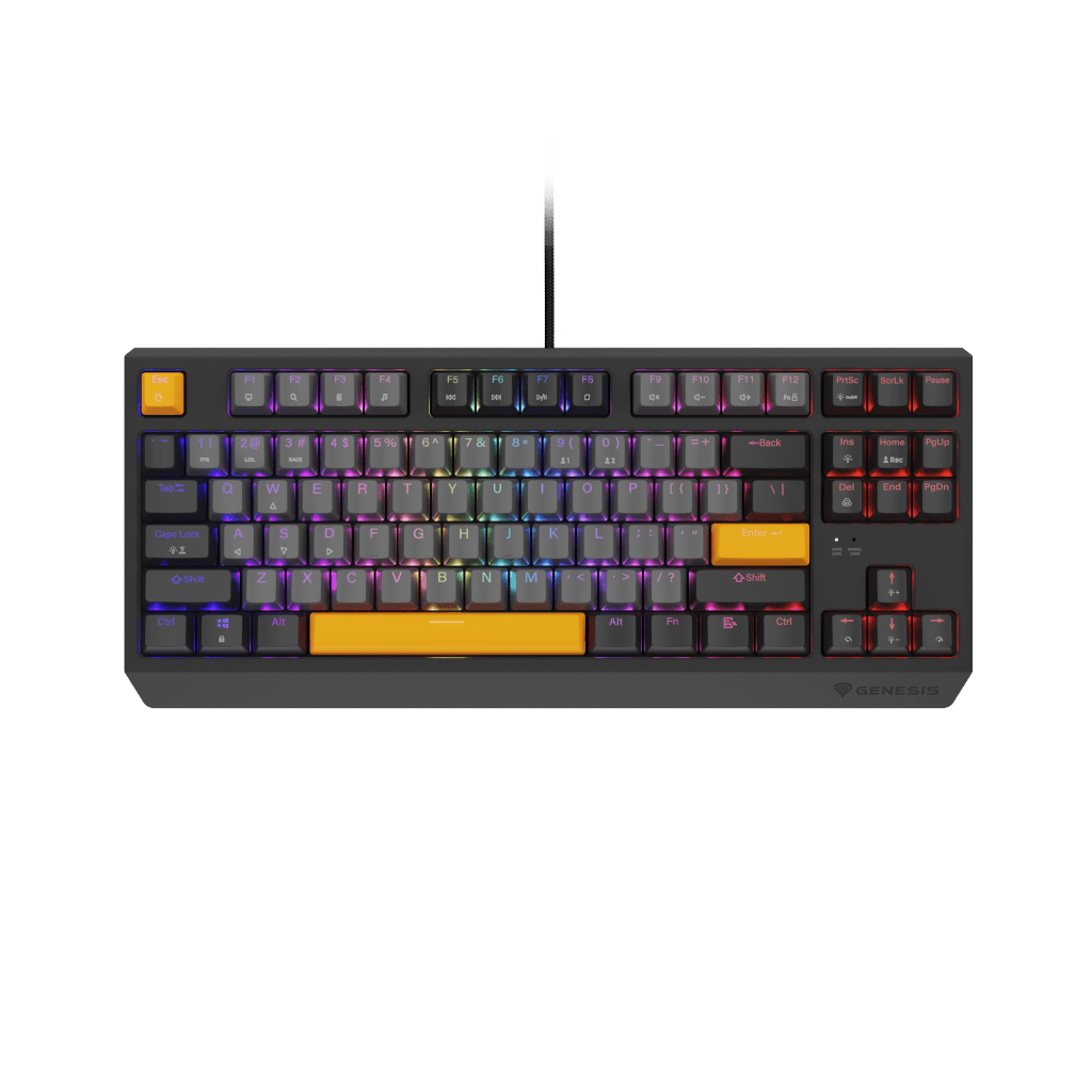 Thor 230 TKL Anchor Gray Negative (Outemu Red)