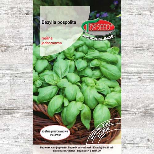 1 szt, Bazylia zielona, nasiona - Nasiona: Ilość w opakowaniu: 0.5 g