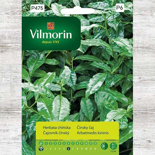 1 szt, Herbata chińska - Nasiona: Ilość w opakowaniu: 5 szt