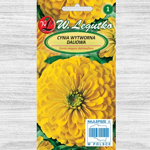 1 szt, Cynia wytworna daliowa Canary Bird Legutko - Nasiona: Ilość w opakowaniu: 1 g