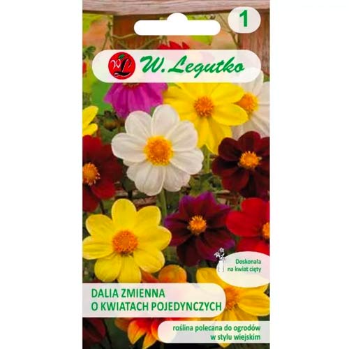 1 szt, Dalia zmienna karłowa Mignon, mix - Nasiona: Ilość w opakowaniu: 1 g