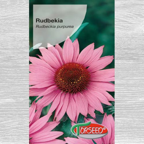 1 szt, Rudbekia (Jeżówka) purpurowa - Nasiona: Ilość w opakowaniu: 0.5 g