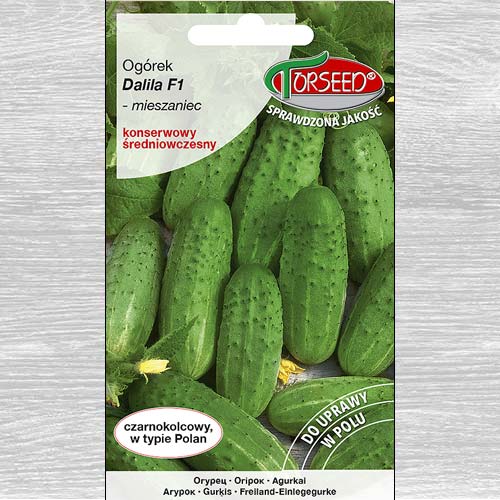 1 szt, Ogórek gruntowy konserwowy Dalila F1 - Nasiona: Ilość w opakowaniu: 3 g