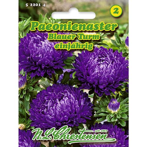Aster chiński peoniowy Blauer Turm - Nasiona. Ilość w opakowaniu: 1 opak - GradinaMax