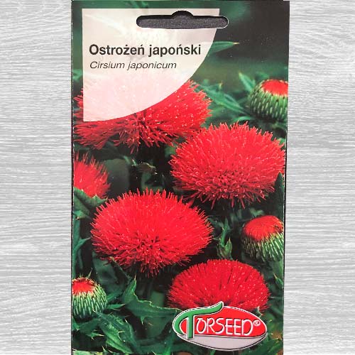 1 szt, Ostrożeń japoński - Nasiona: Ilość w opakowaniu: 0.1 g