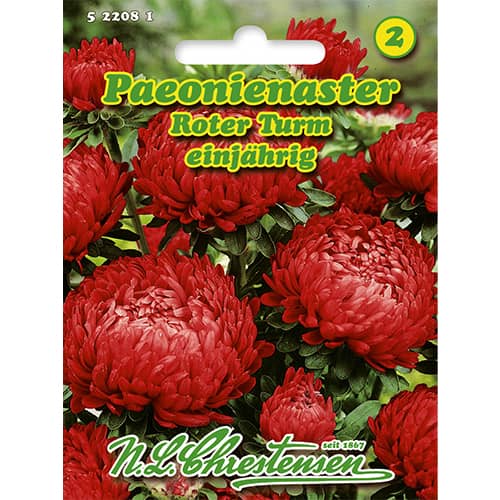 Aster chiński peoniowy Roter Turm - Nasiona. Ilość w opakowaniu: 1 opak - GradinaMax