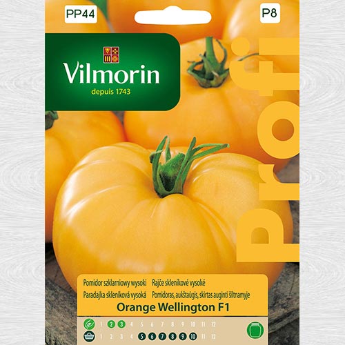 1 szt, Pomidor szklarniowy wysoki Orange Wellington F1 - Nasiona: Ilość w opakowaniu: 0.1 g