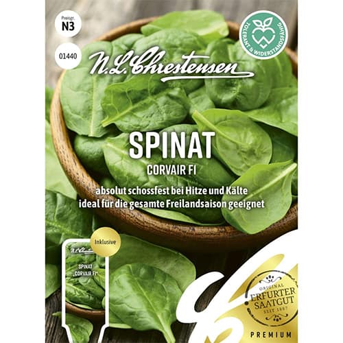 Szpinak Corvair F1 - Nasiona. Ilość w opakowaniu: 1 opak - GradinaMax