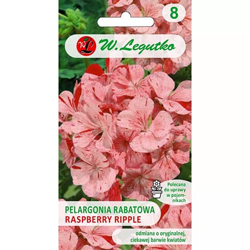 1 szt, Pelargonia rabatowa Divas F1 Raspberry Ripple - Nasiona: Ilość w opakowaniu: 0.04 g