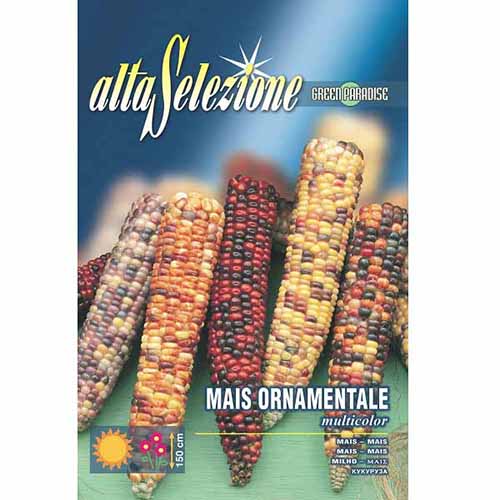 1 szt, Kukurydza ozdobna, mieszanka kolorów Morami - Nasiona: Ilość w opakowaniu: 8 g