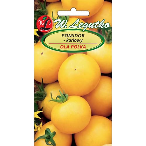 1 szt, Pomidor gruntowy karłowy Ola Polka - Nasiona: Ilość w opakowaniu: 1 g