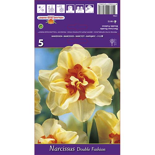 Narcyz pełny Double Fashion - Cebule: Ilość w opakowaniu: 5 szt. - GradinaMax