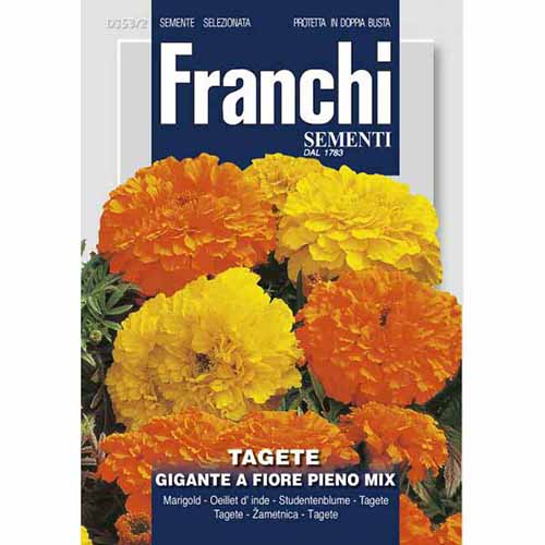 1 szt, Aksamitka wzniesiona wielokwiatowa pełna, mieszanka kolorów Morami - Nasiona: Ilość w opakowaniu: 2.5 g