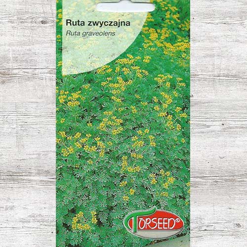 1 szt, Nasiona Ruta zwyczajna - Nasiona: Ilość w opakowaniu: 0.2 g