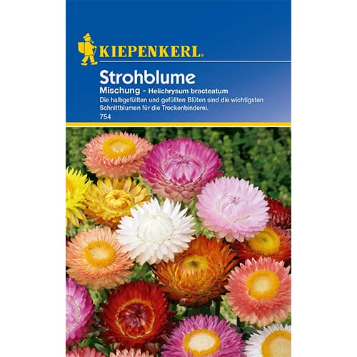 Kocanki ogrodowe, mix - Nasiona. Ilość w opakowaniu: 1 opak - GradinaMax